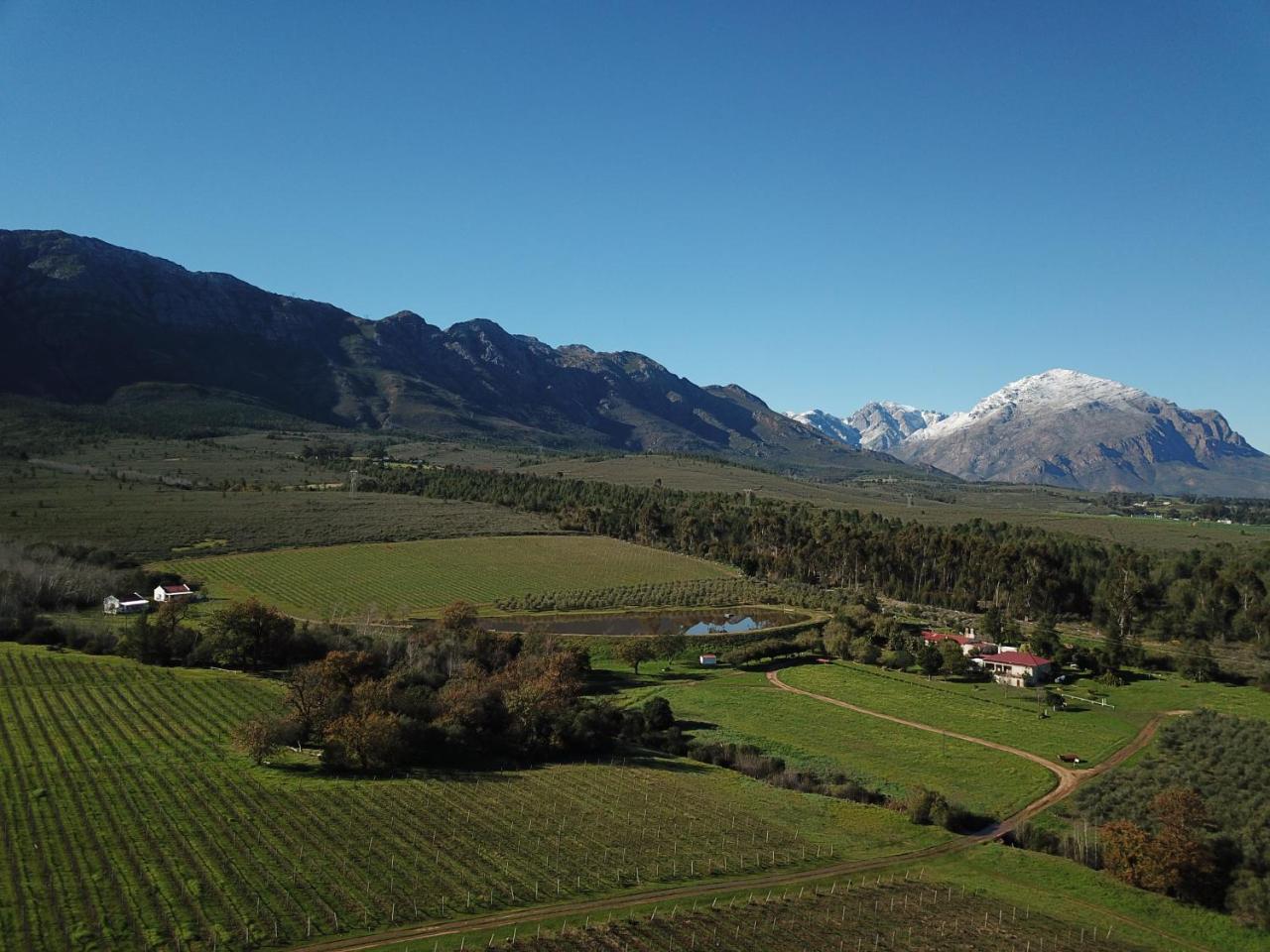 Fraaigelegen Farm - Home Of Adhara Evoo Тулбаг Екстериор снимка