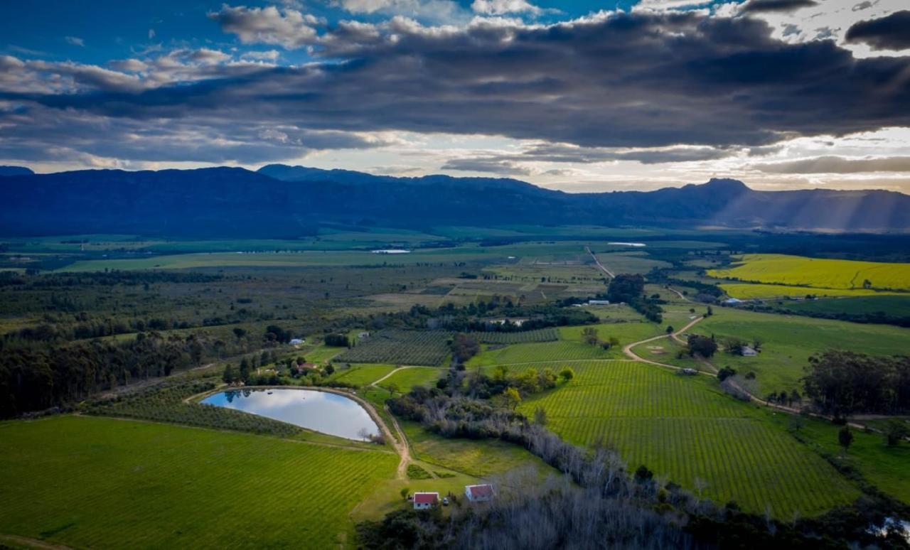 Fraaigelegen Farm - Home Of Adhara Evoo Тулбаг Екстериор снимка